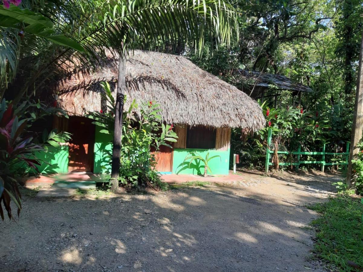 Hotel Cabanas Margarita & Ed パレンケ エクステリア 写真